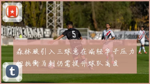 森林狼引入三球意在减轻华子压力但抗衡马刺仍需提升球队高度