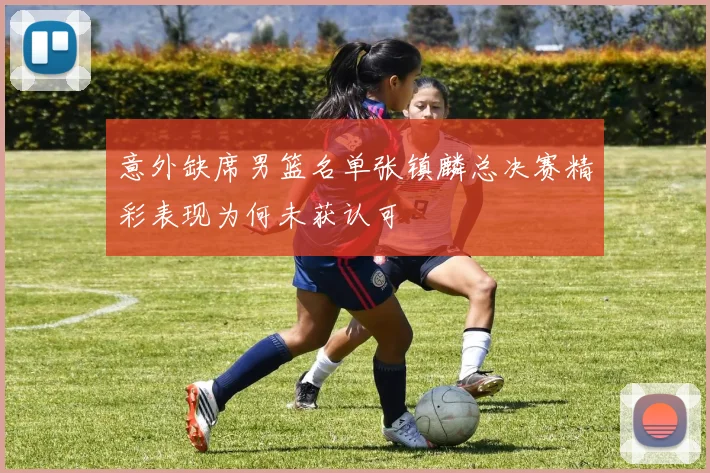 意外缺席男篮名单张镇麟总决赛精彩表现为何未获认可